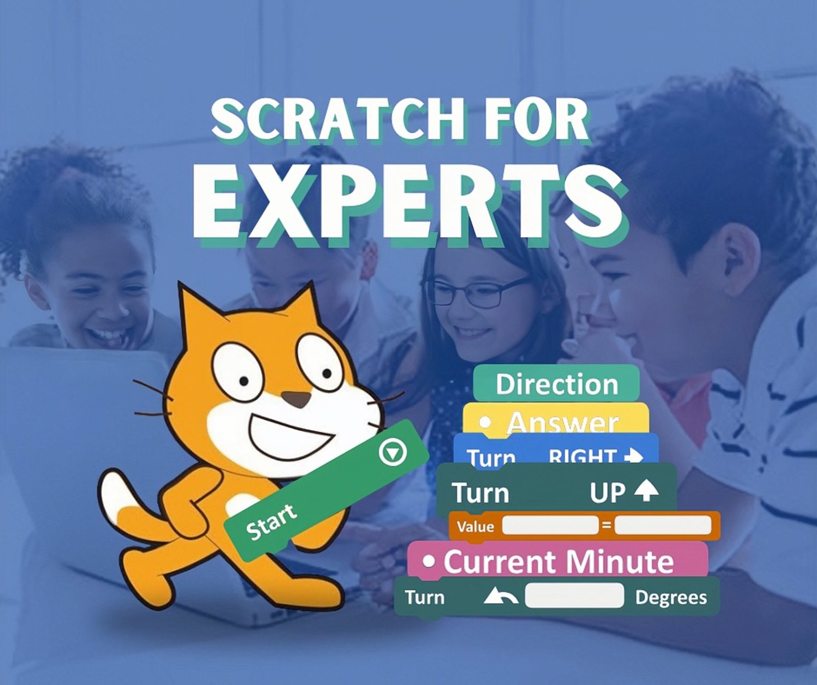 Experts